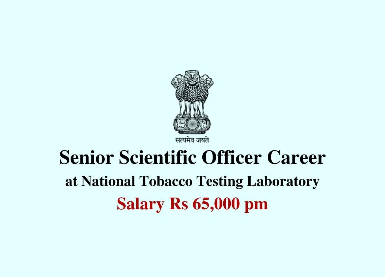 Job as Senior Scientific Officer at National Tobacco Testing Laboratory