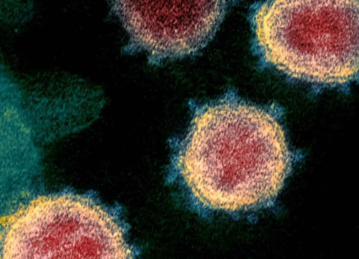 New Study Adds More Evidence for Omicron Immune Evasion