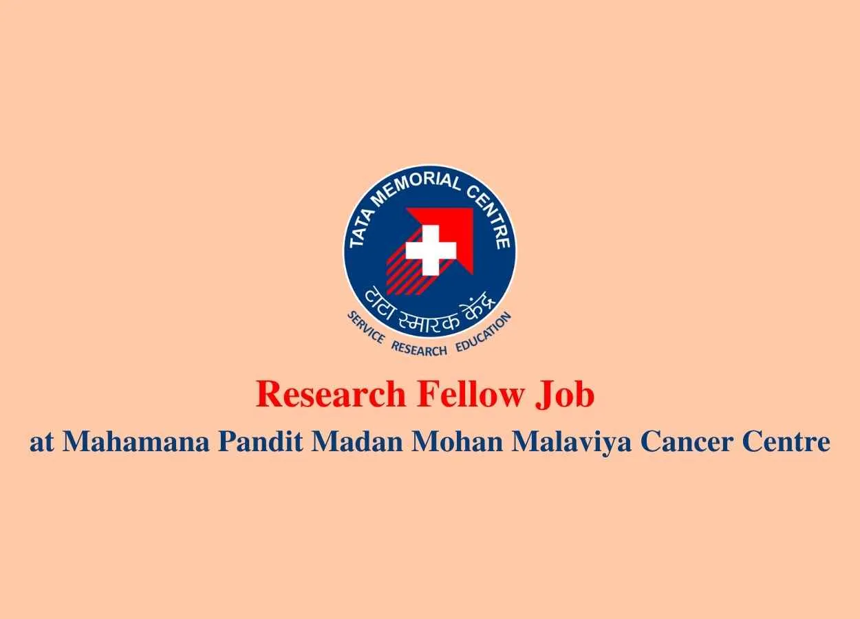 Research Fellow Job at MPMMCC
