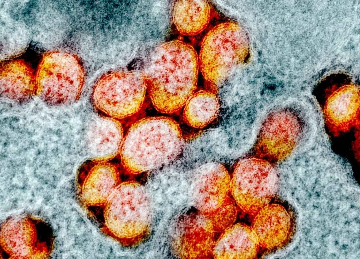 SARS-CoV-2 goes underground to spread from cell to cell