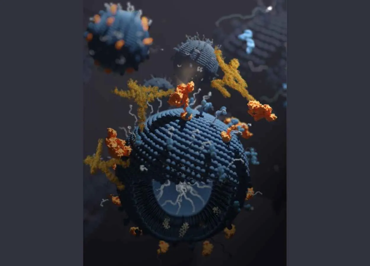 New Method to Increase Effectiveness of Nanomedicines