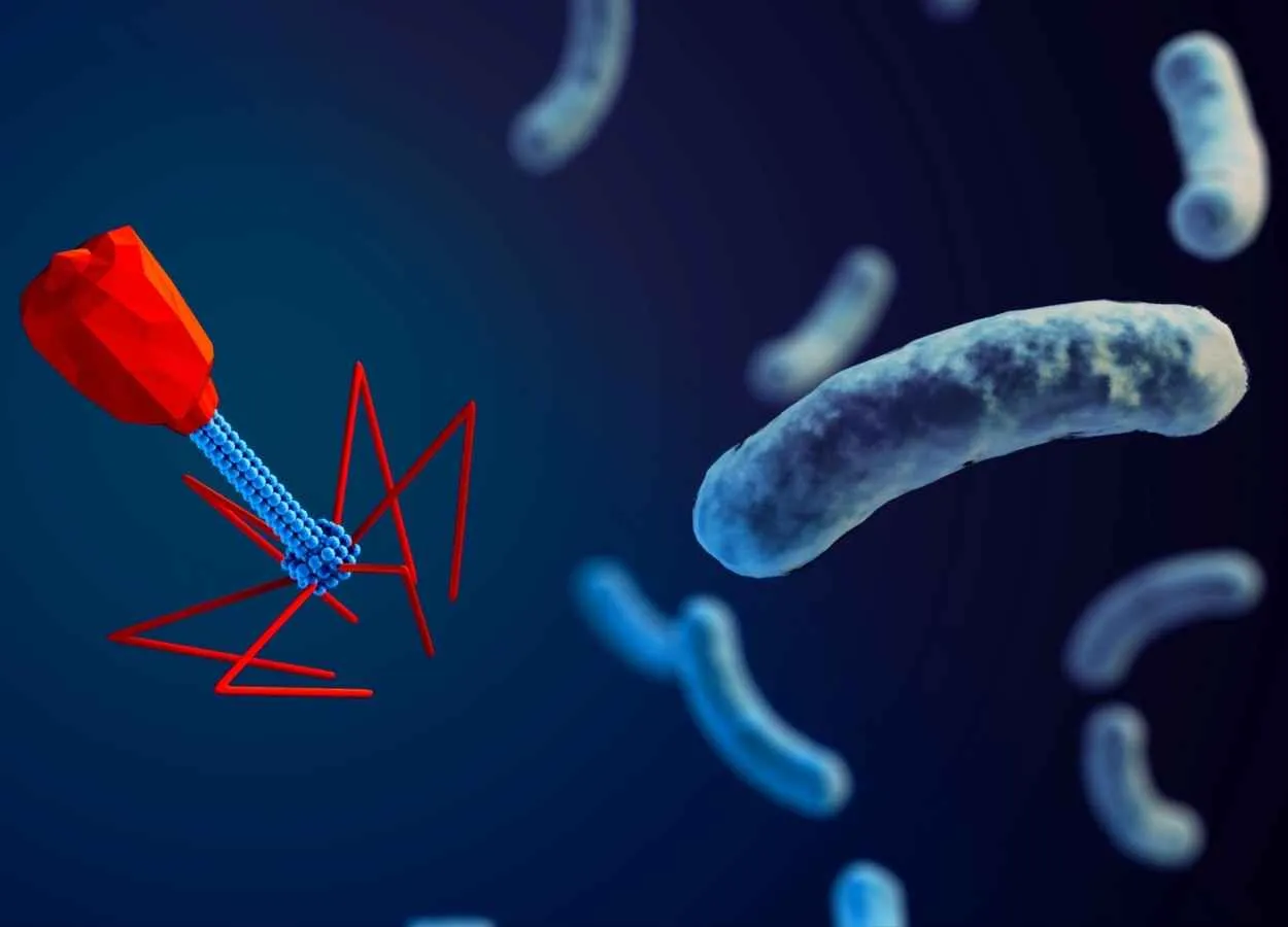 A new multipurpose on-off switch for inhibiting bacterial growth