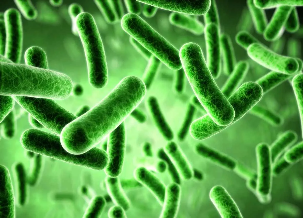 Development of nanoengineered bacteria for cancer optotheranostics