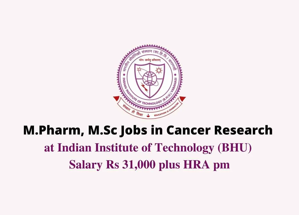 M.Pharm, M.Sc Jobs in Cancer Research at Indian Institute of Technology