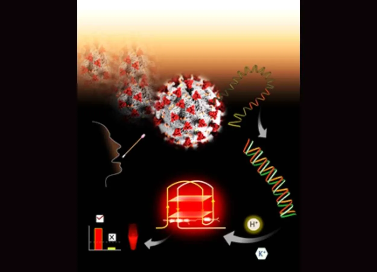 Fluorescence technology to detect new corona virus discovered