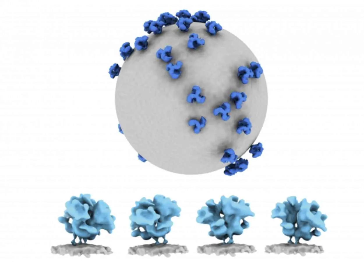 Unexpected findings detailed in new portrait of HIV 