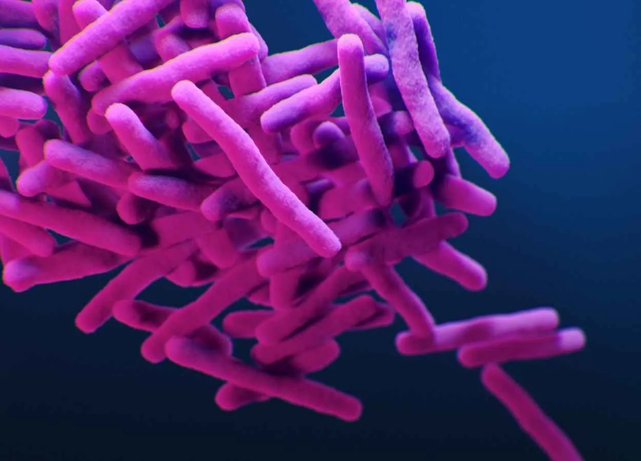 Higher Dose Antibiotic Shown Safe in TB Patients Likely More Effective in Treating Deadliest Form of TB