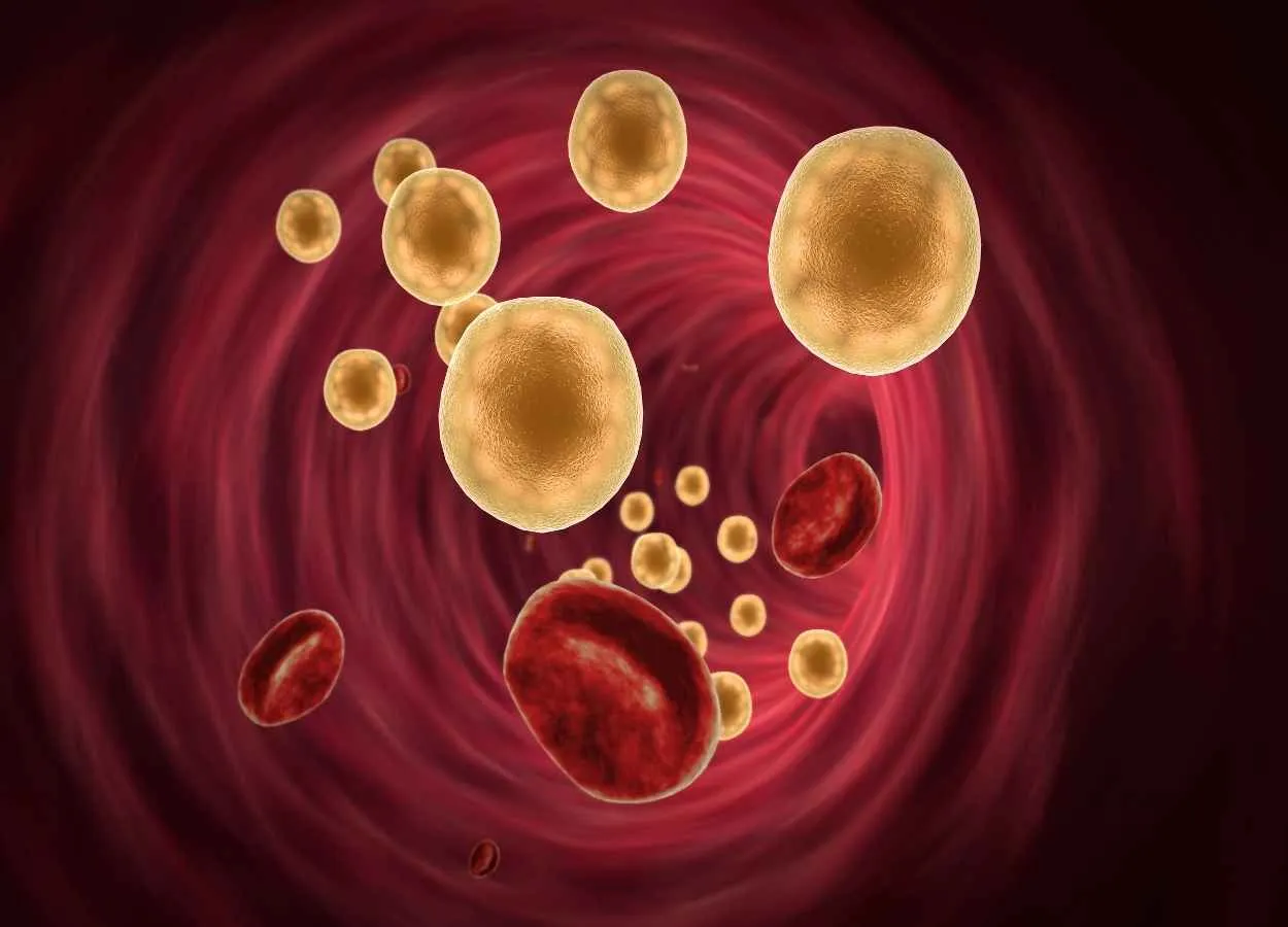 From cell fat to cell fate