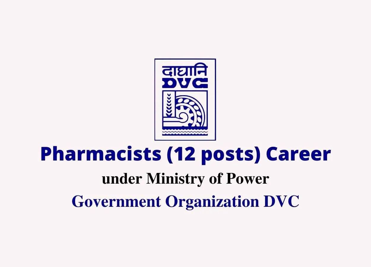Government Organization DVC Job