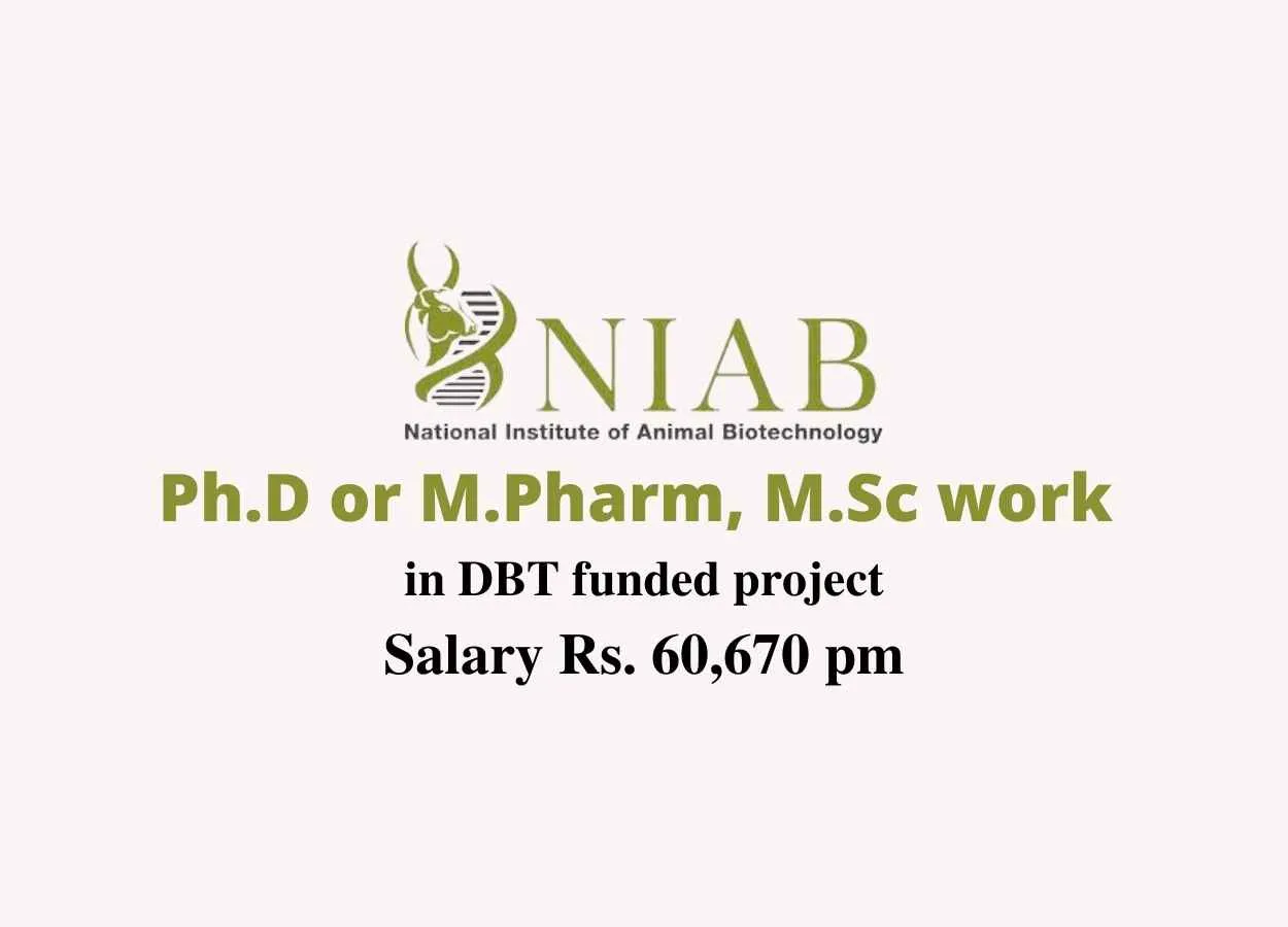 Ph.D or M.Pharm, M.Sc to work in DBT funded project at NIAB