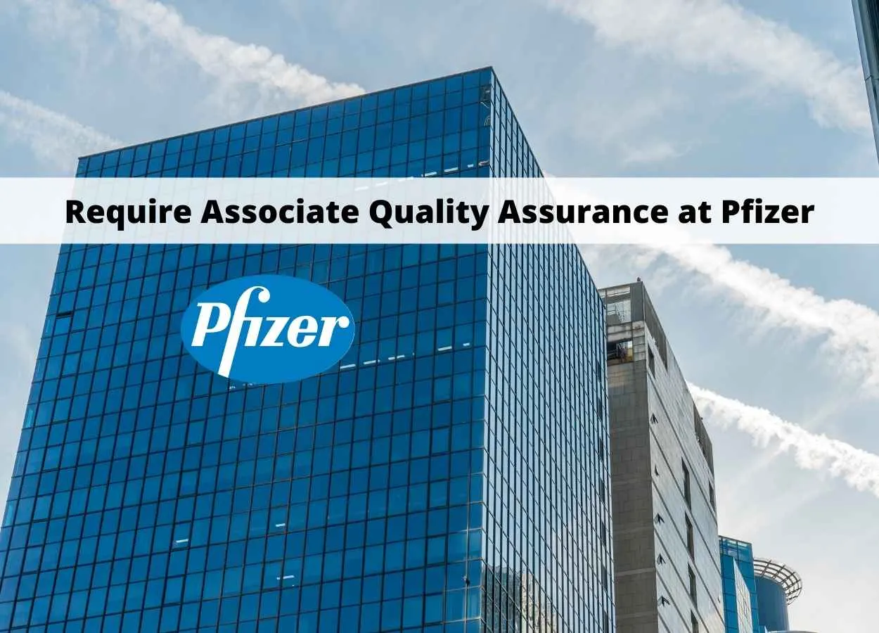 Require Associate Quality Assurance at Pfizer