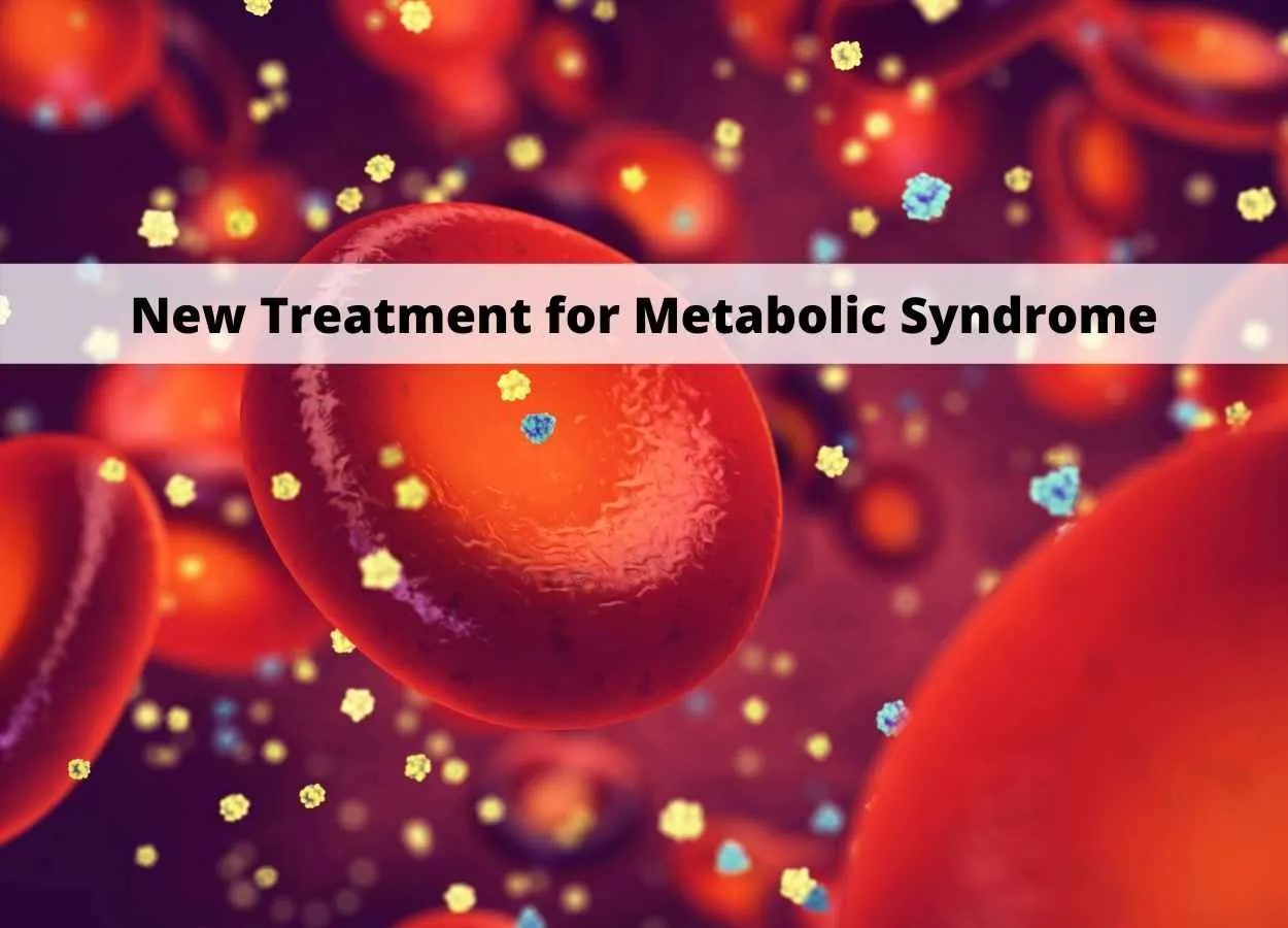 Researchers Identify a New Treatment for Metabolic Syndrome