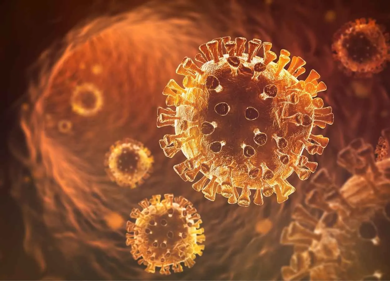 Neutralization of BA.1 and BA.2 by therapeutic monoclonal antibodies
