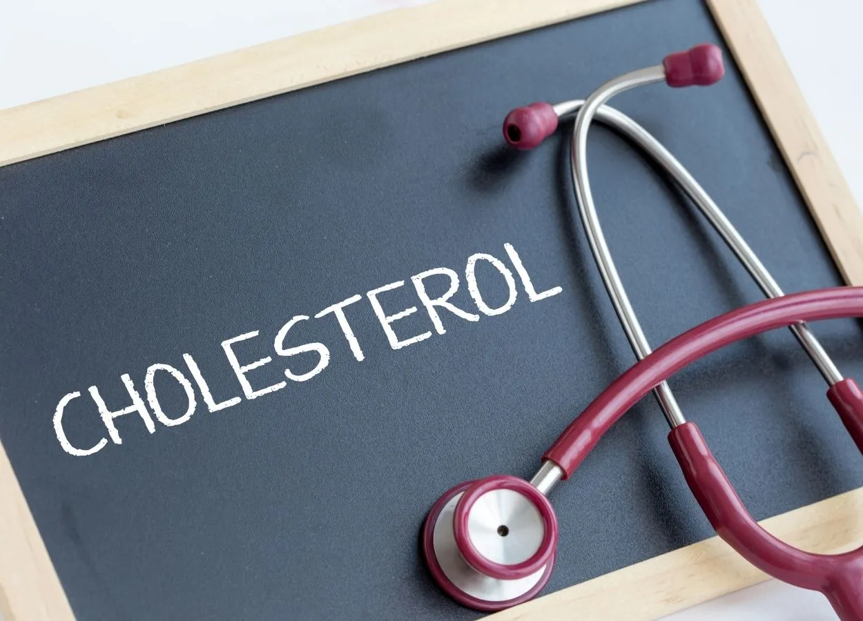 Dietary cholesterol worsens inflammation, sickness in mice with influenza