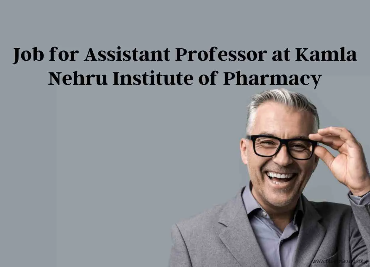 Job for Assistant Professor at Kamla Nehru Institute of Management & Technology