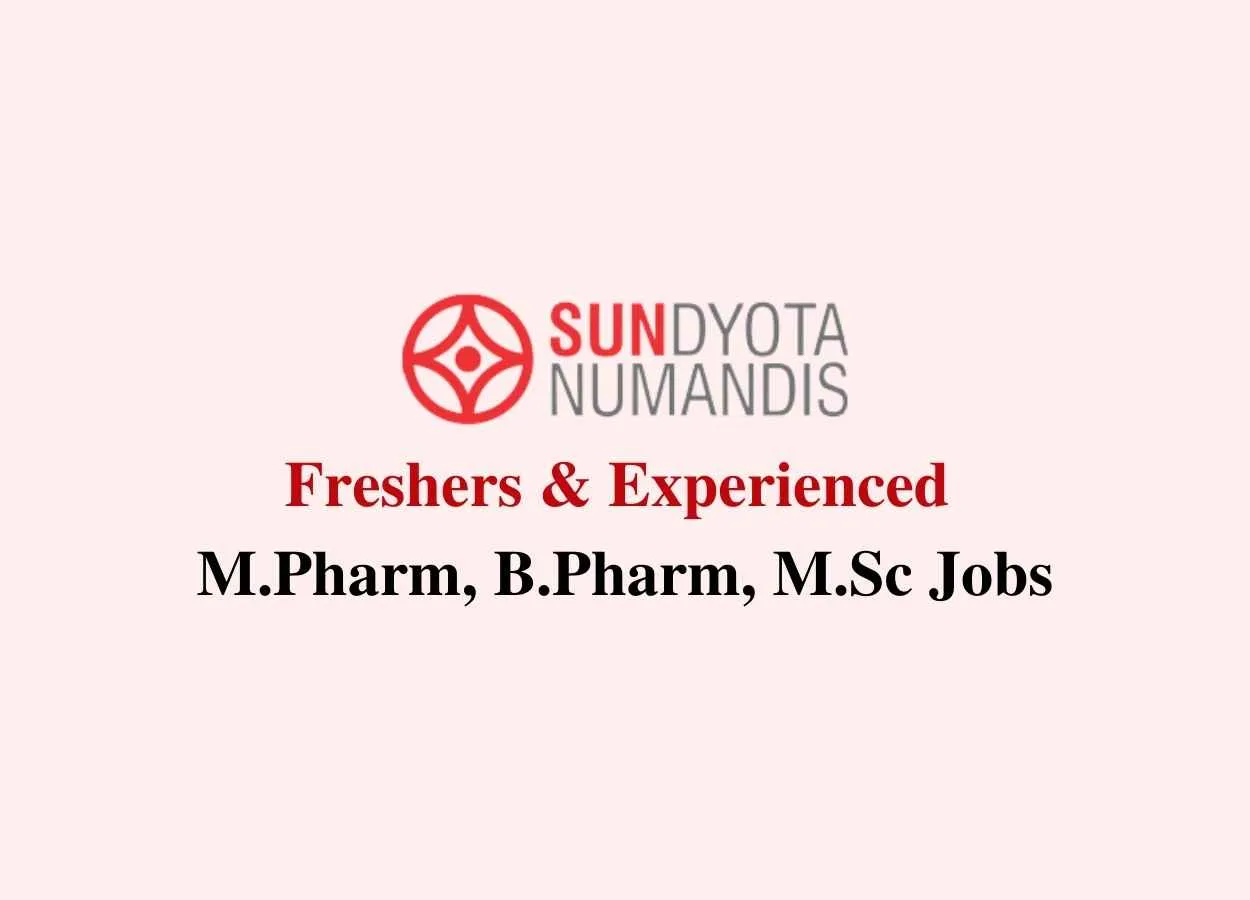 Sundyota Numandis Jobs