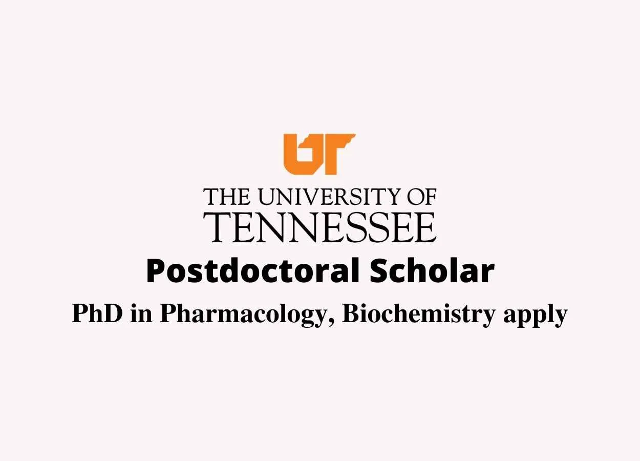 Postdoctoral Scholar at University of Tennessee