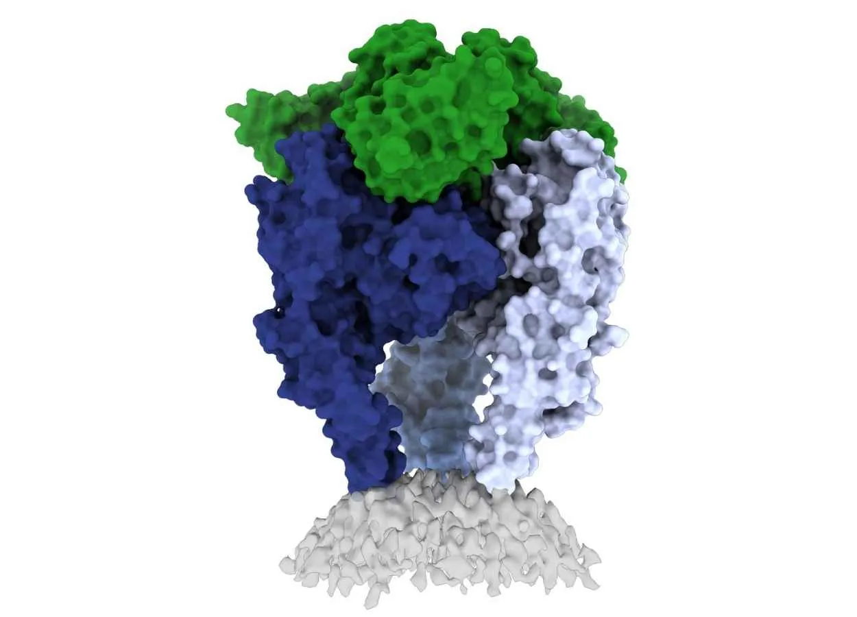 Rethinking the rabies vaccine