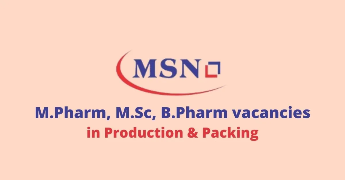 MSN Group Jobs