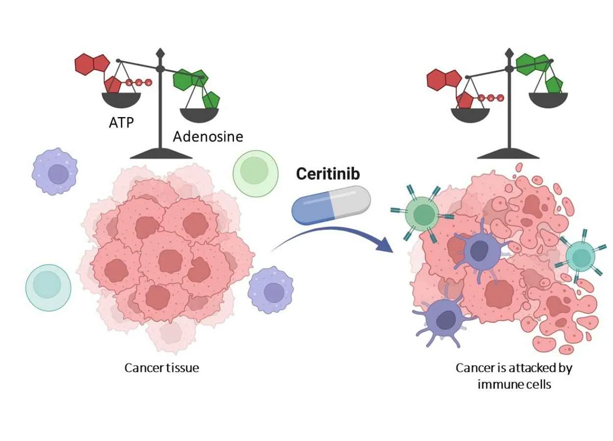 Already approved drug could pave way to new pharmaceuticals