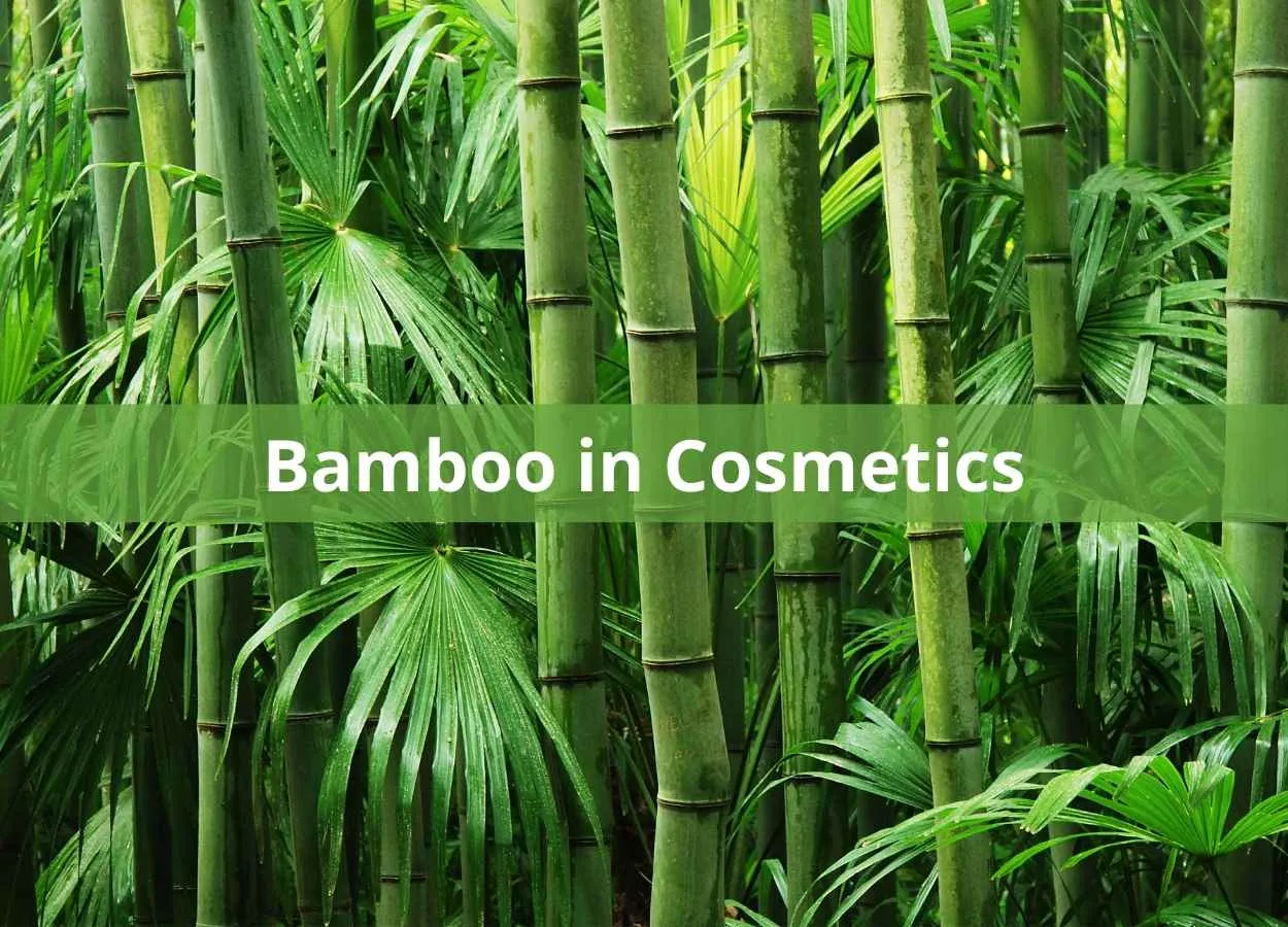 Bamboo in Cosmetics