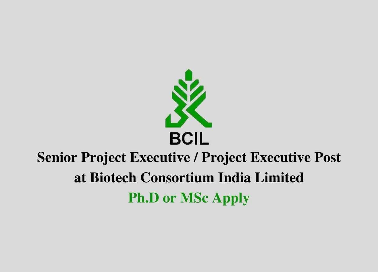 BCIL invites applications for Senior Project Executive / Project Executive