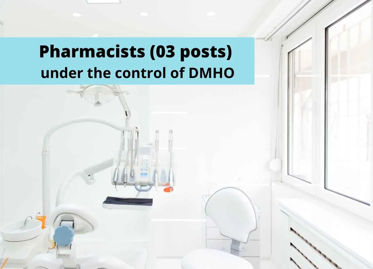 DMHO Jobs