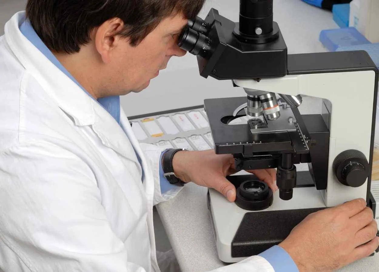 Microscopy reveals mechanism behind new CRISPR tool 