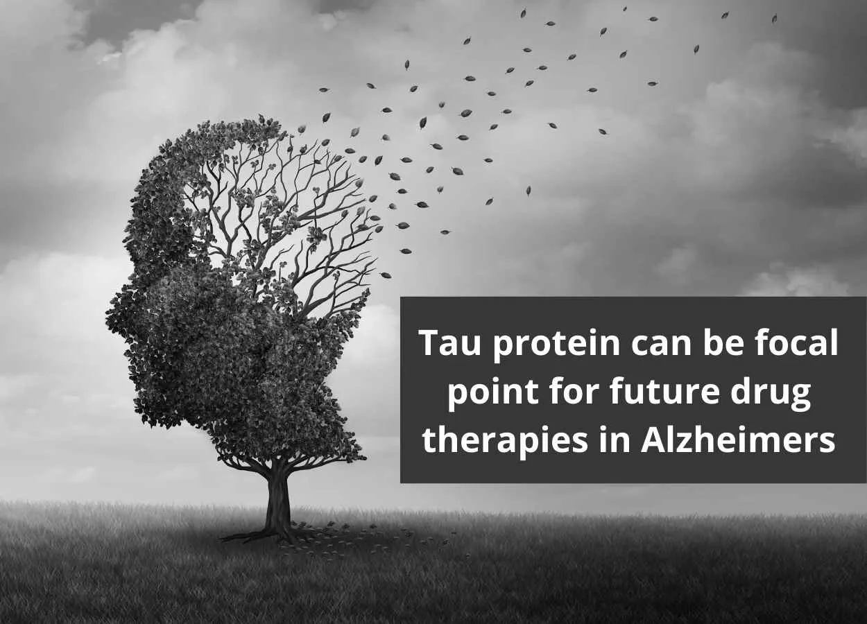 Tau protein can be focal point for future drug therapies in Alzheimers