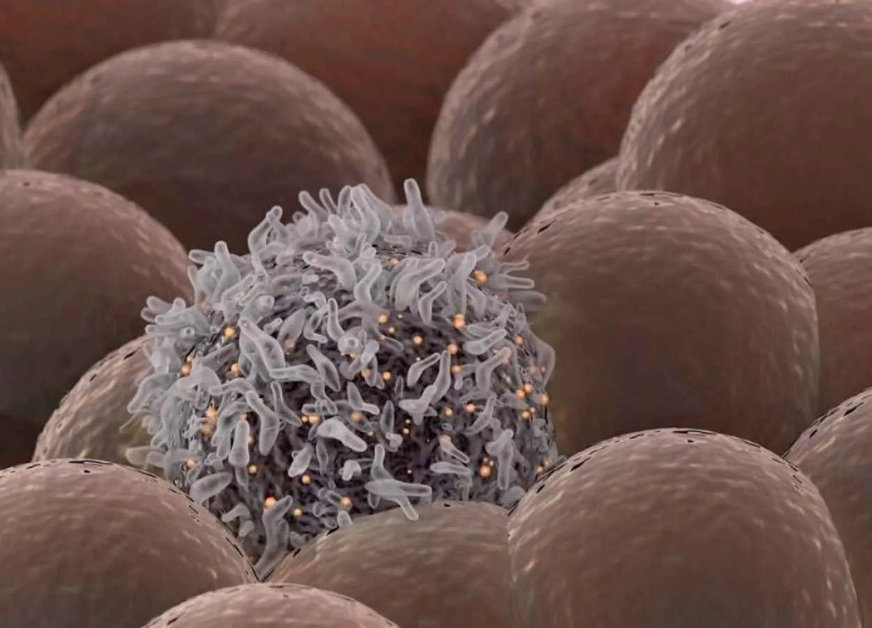 Technology Developed at UH Could Advance Treatment of Lymphoma
