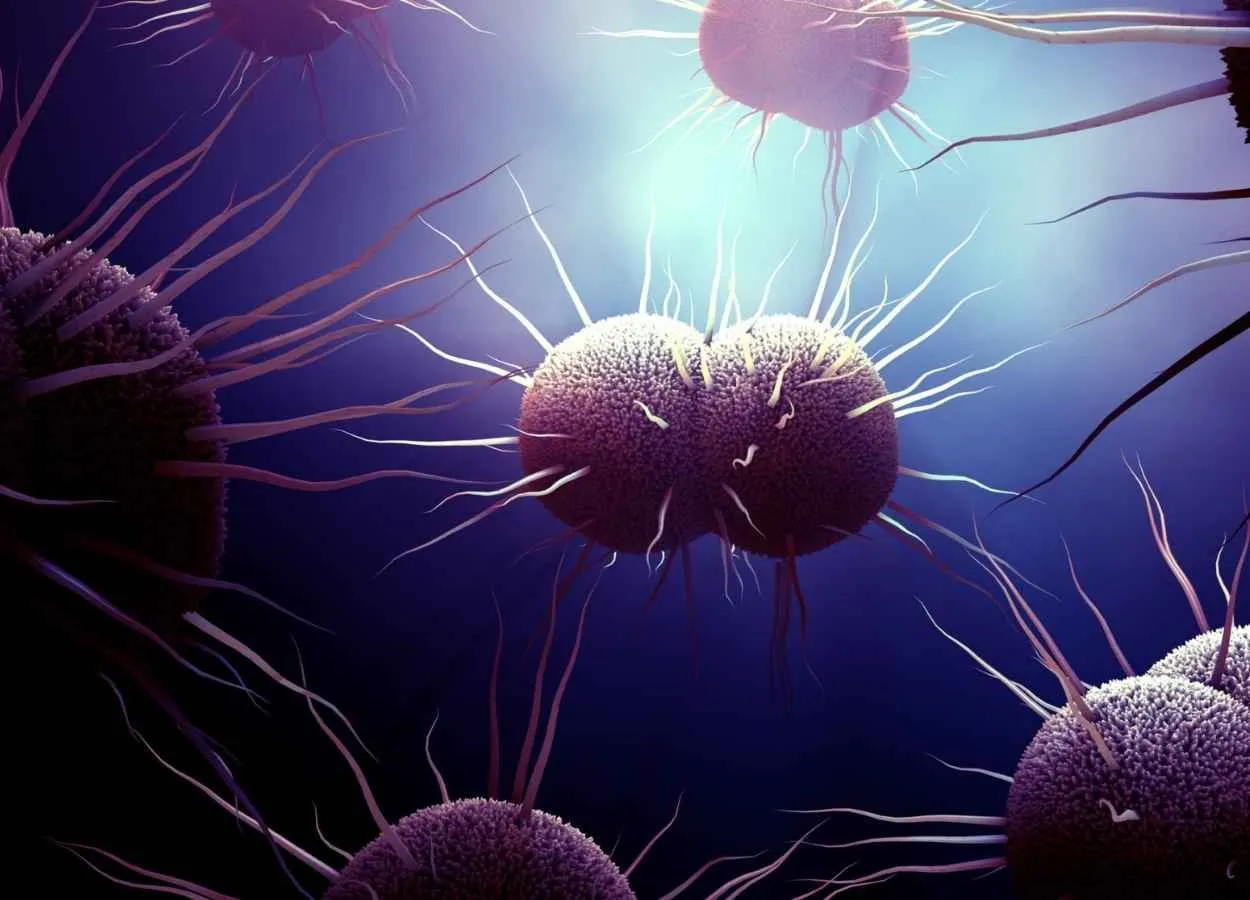 Mutation in Key Molecules Could Stop Gonorrhea Infection