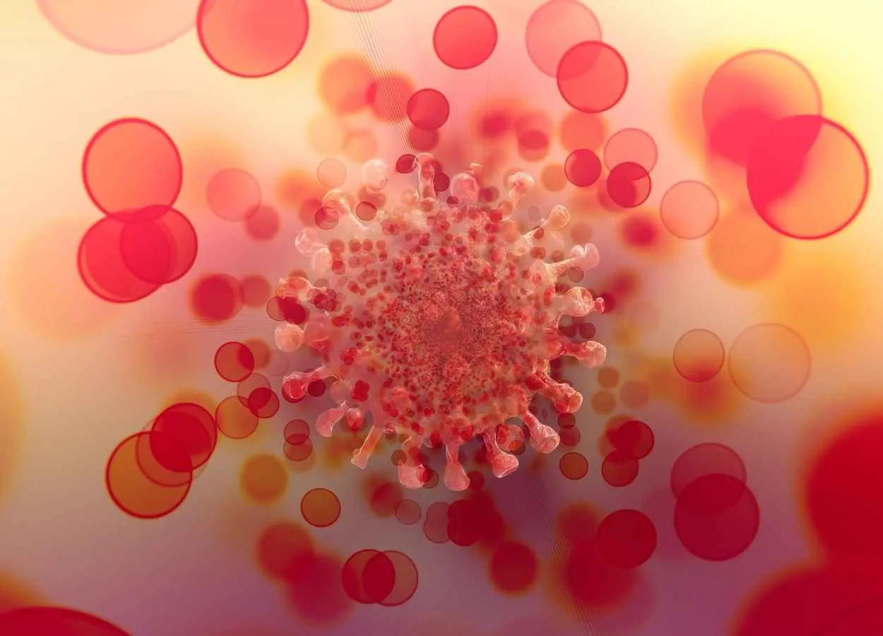 New omicron BA.2.75 is as susceptible to antibodies as the currently dominant variant : Researchers