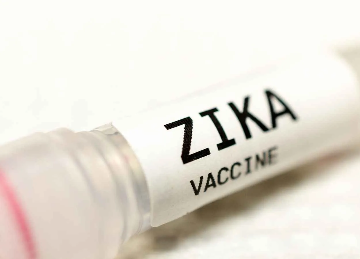 New Zika Vaccine Shows Promise in Animal Models
