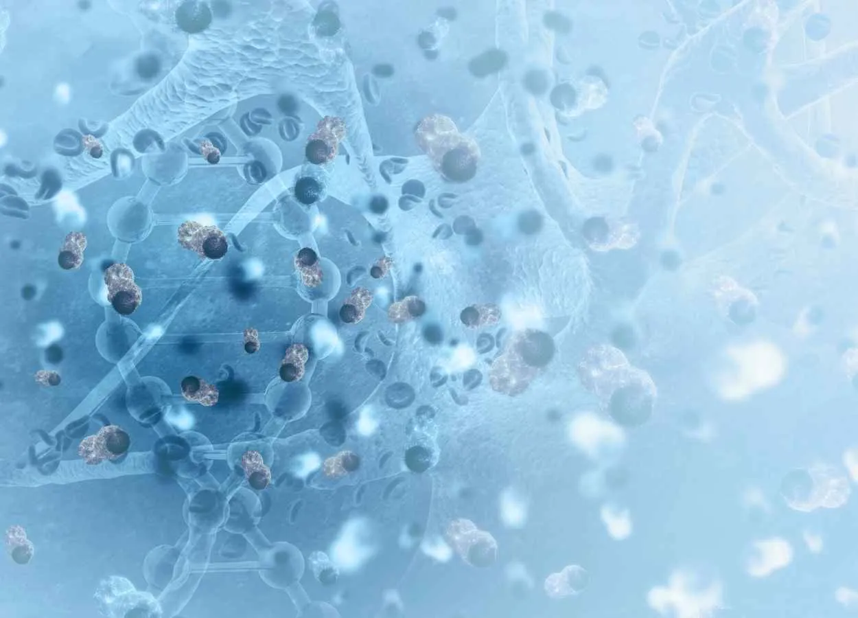 Pitt Scientists Discover How Cells Repair Longevity Promoting Recycling System