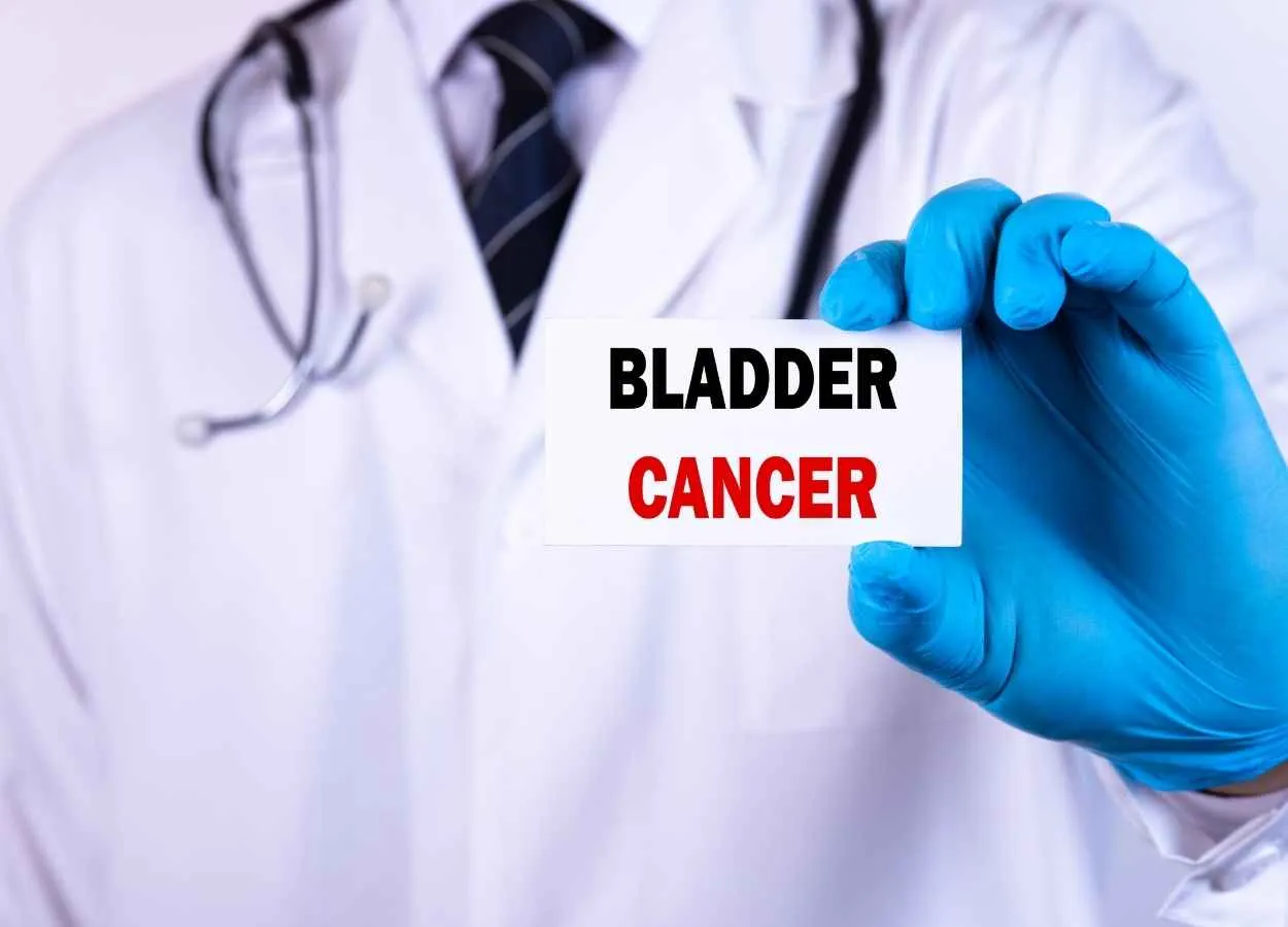 Researchers identify immune cell that helps kill bladder cancer tumors