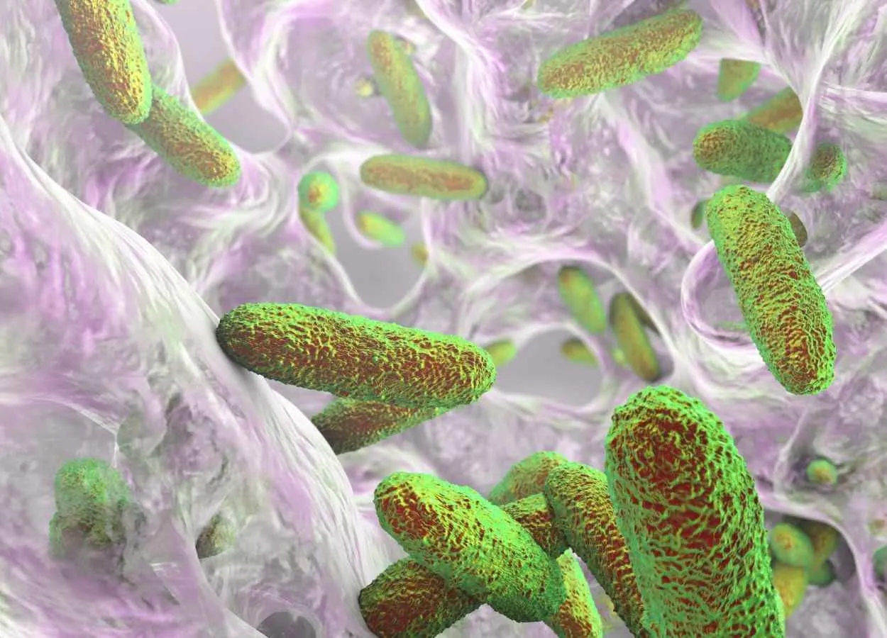 Anti Malarial medicine has potential to kill MDR Bacteria