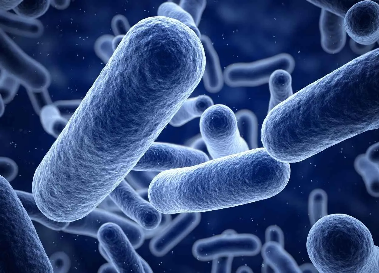 Toxin discovered that kills bacteria in unprecedented ways