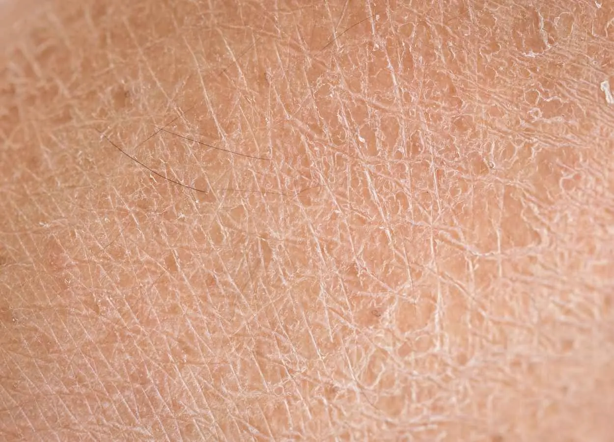 Uncovering the skin’s secrets