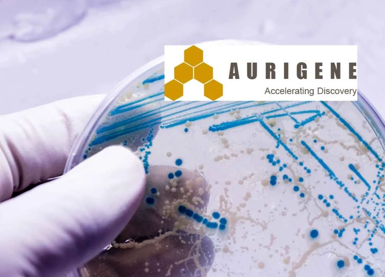 Hiring Scientist in Cell & Molecular Biology at Aurigene