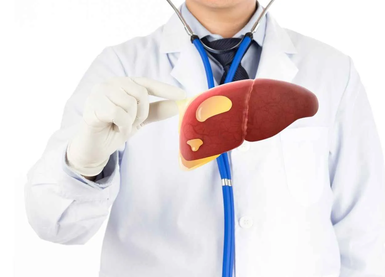 Hormone protects against development of fatty liver
