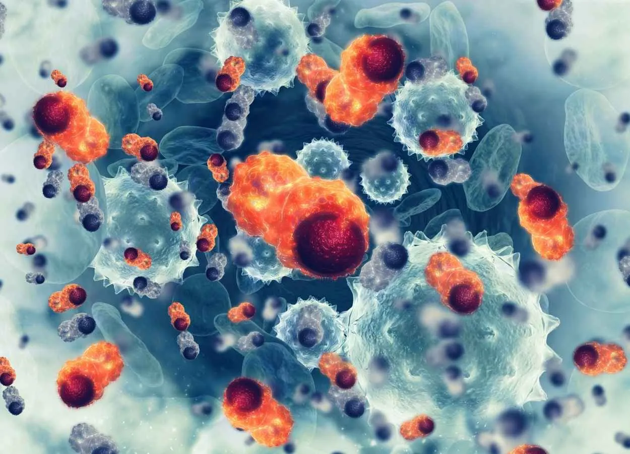 Researchers find protein complex that regulates migration of neurons and neuroblastoma cancer cells