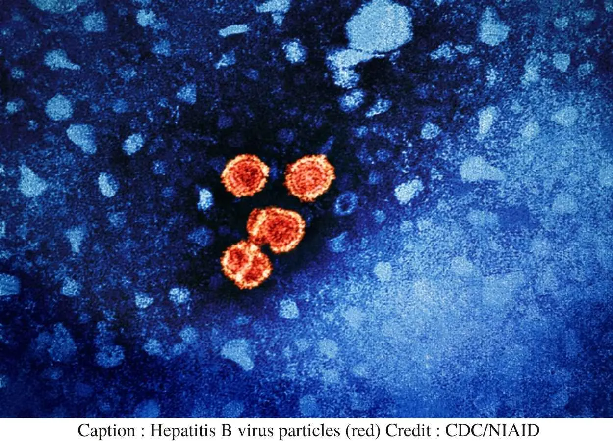Three-dose hepatitis B vaccine regimen protects people with HIV
