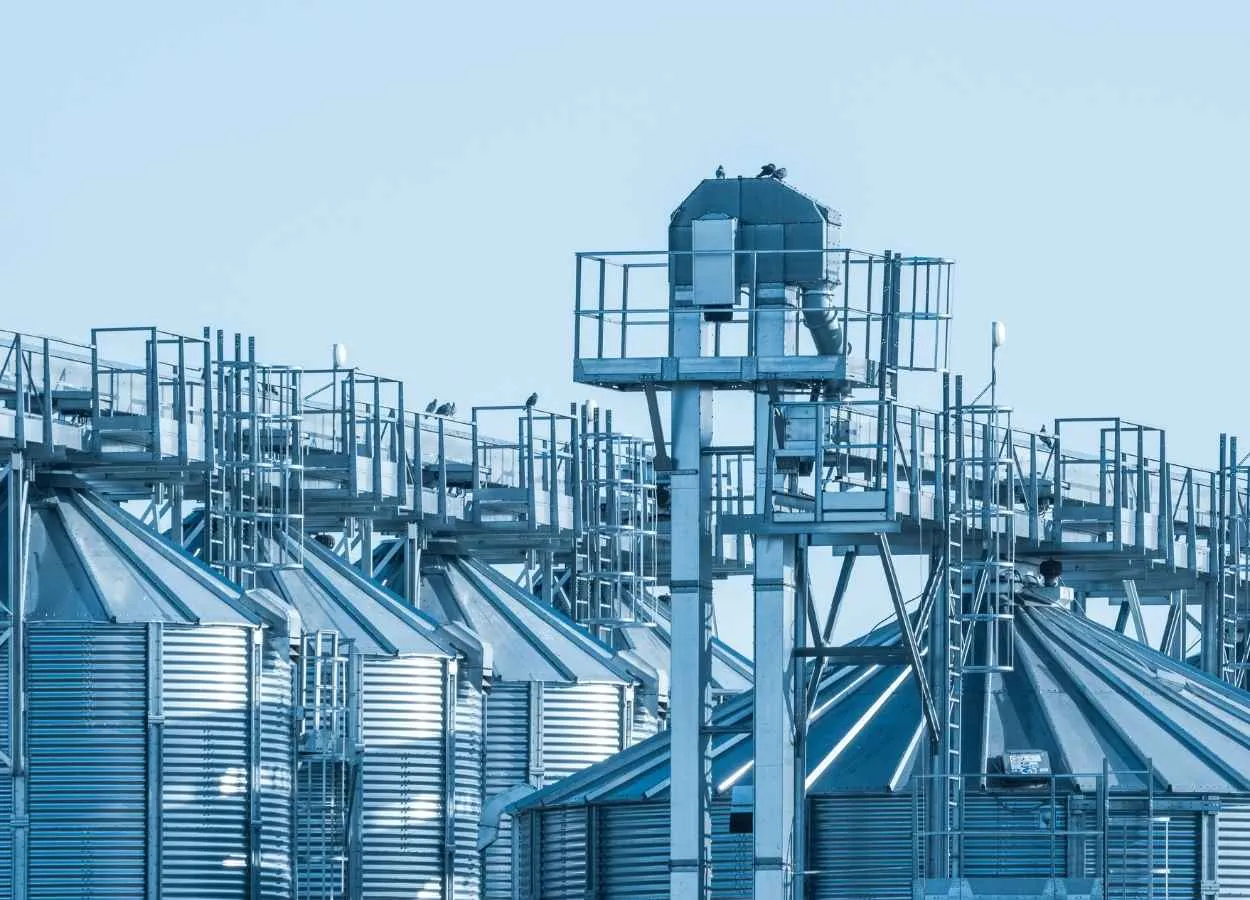 What will the future of the bioeconomy look like