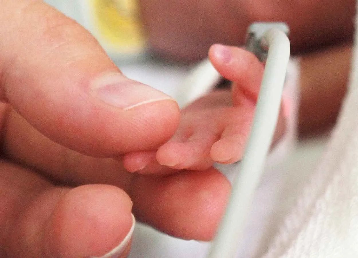 Carnitine intake is associated with better postnatal growth and larger brain size in very preterm infants