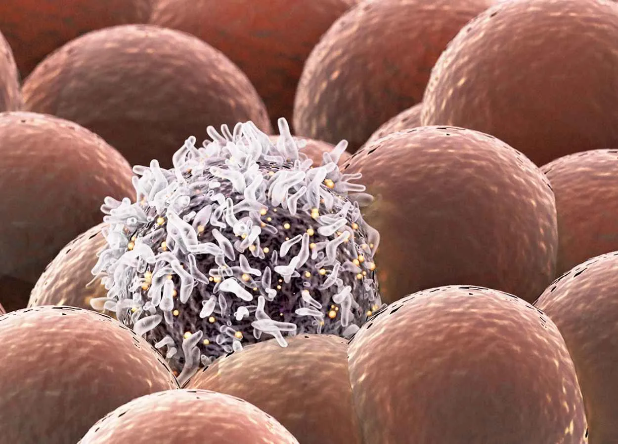 Chemotherapy could increase disease susceptibility in future generations