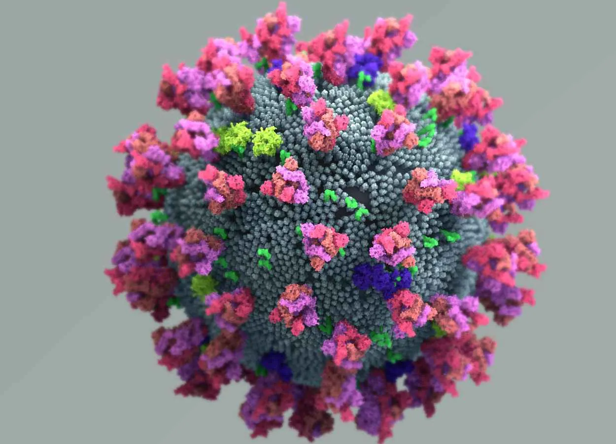 the Spike protein is no longer the only target