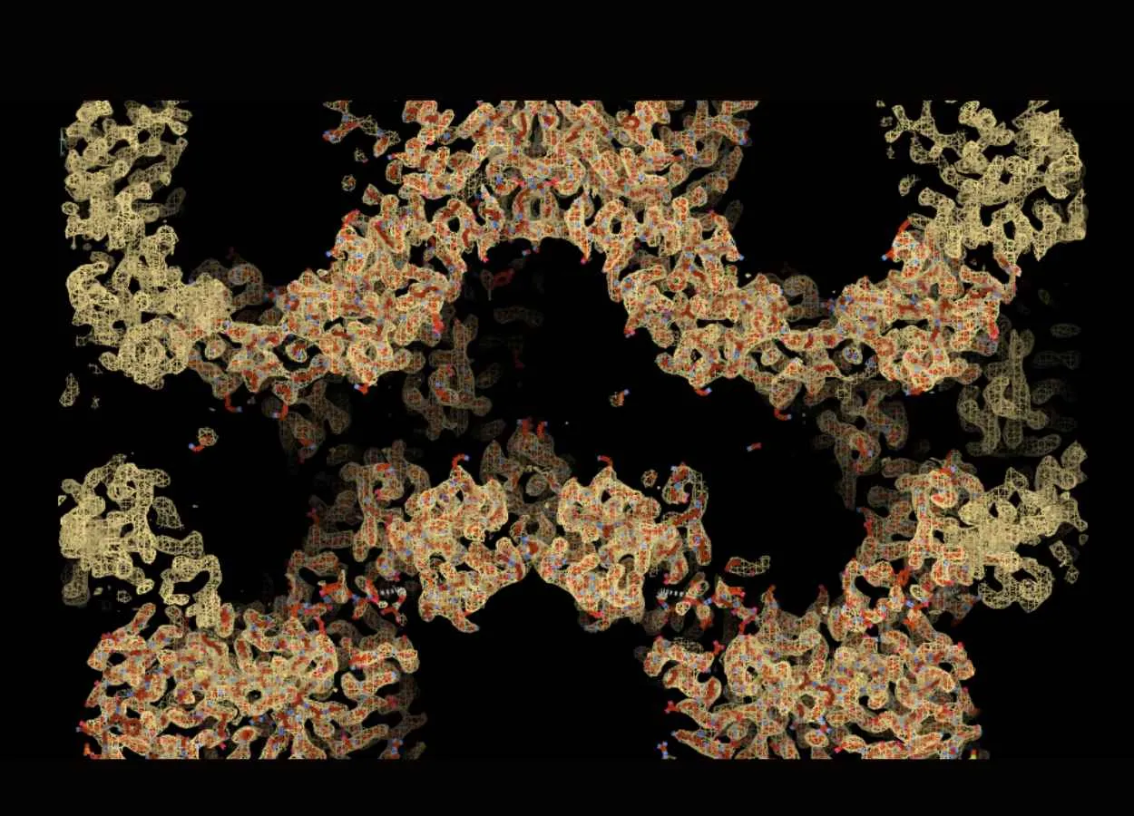 Discovery could lead to new drugs to block protein that fuels bowel cancer
