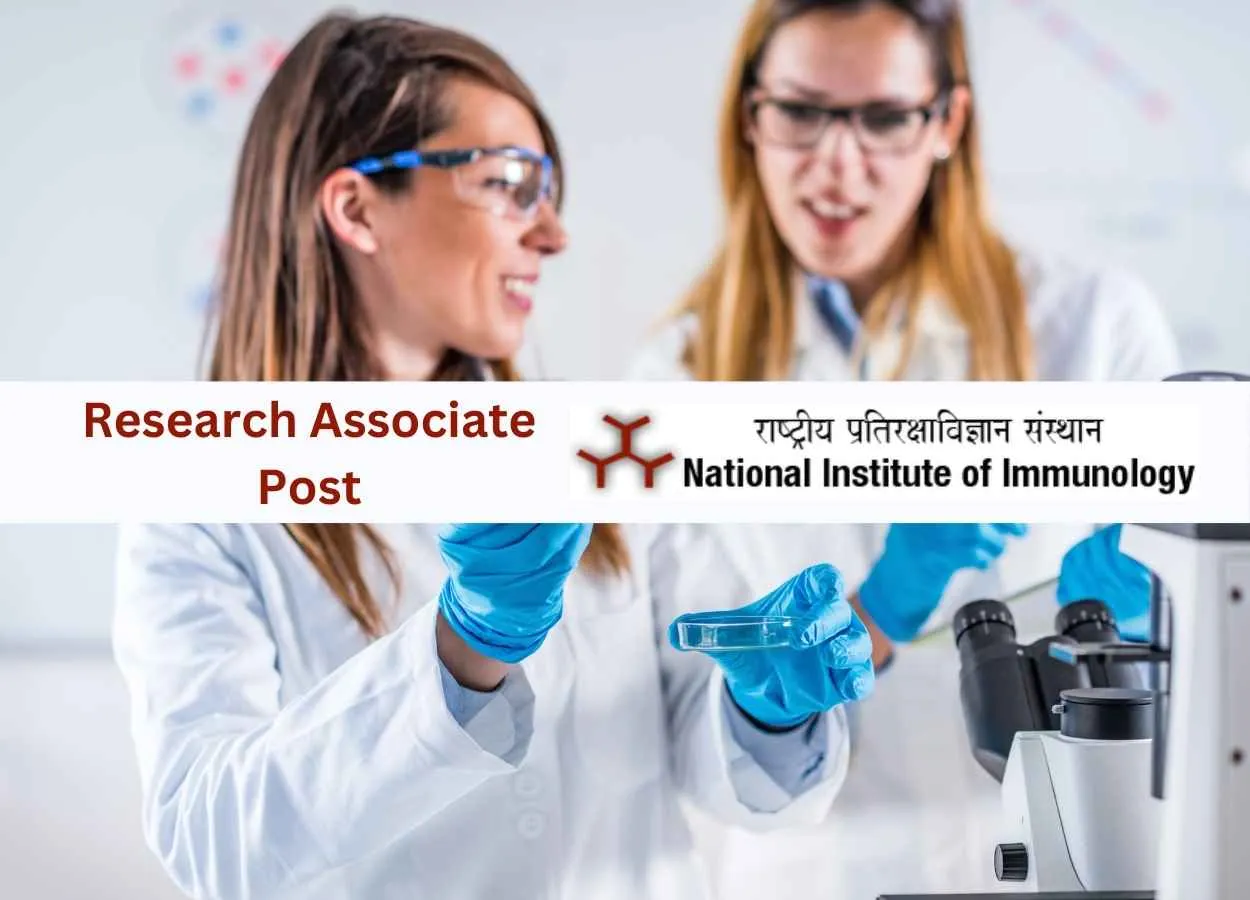 Job for Research Associate at NII
