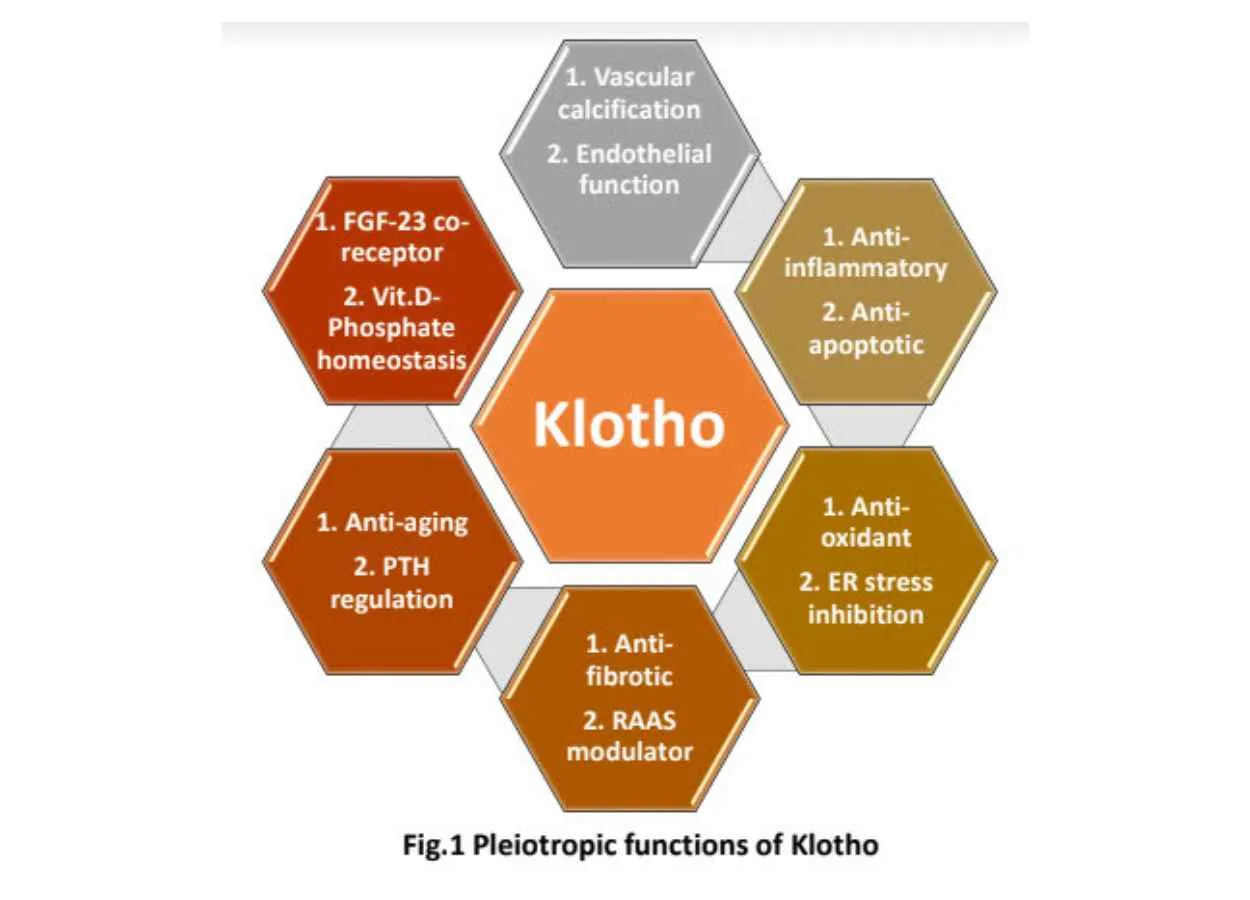 Klotho