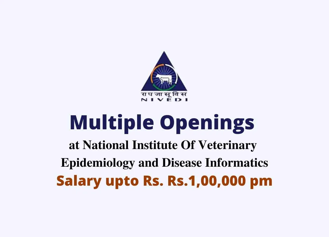 Multiple Openings at NIVEDI